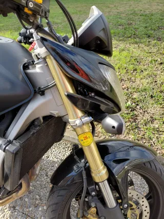 Honda CB 600 F Hornet Naked