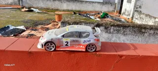 Coche RC 1/10 Peugeot 206 WRC