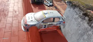 Coche RC 1/10 Peugeot 206 WRC