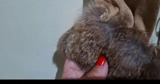 Chaqueta Induyco Talla L