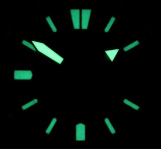 Reloj Seiko Professional Diver WCC