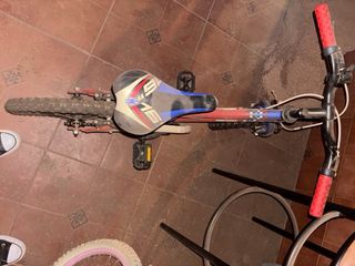 Bicicleta infantil roja y azul