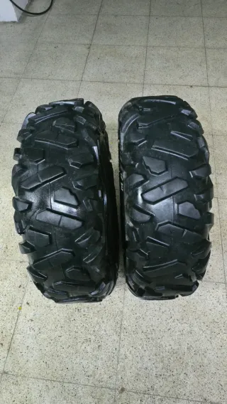 Neumáticos Maxxis Bighorn 26x9Rx12