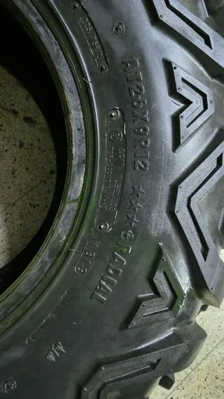 Neumáticos Maxxis Bighorn 26x9Rx12