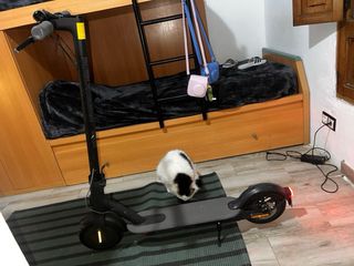 Patinete Xiaomi Essential