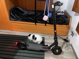 Patinete Xiaomi Essential