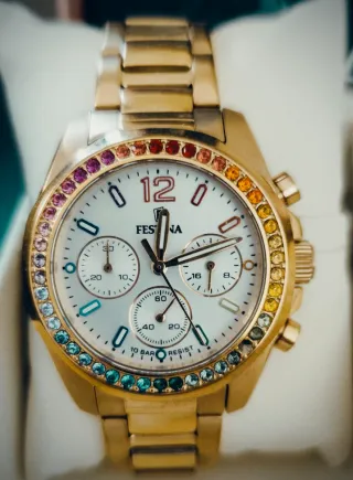 Reloj Festina