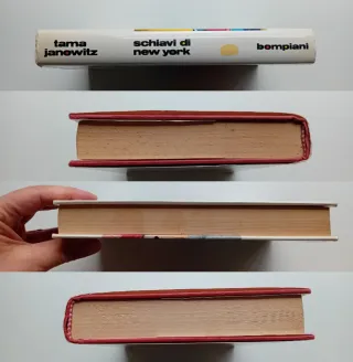 Schiavi di New York di Tama Janowitz