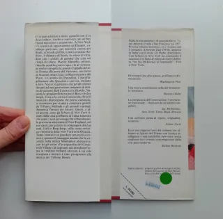 Schiavi di New York di Tama Janowitz