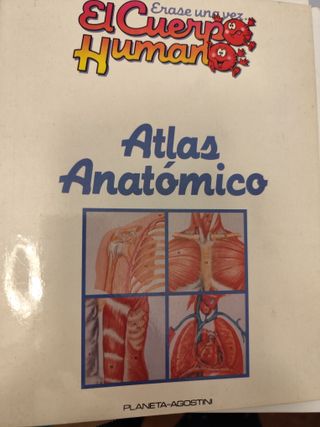 Érase una vez El Cuerpo Humano