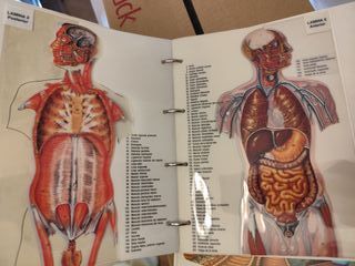 Érase una vez El Cuerpo Humano