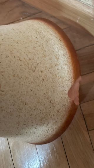 Maceta Decorativa Flores Artificiales