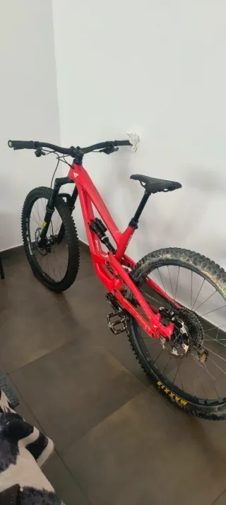 YT Capra Roja