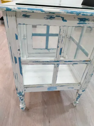 Vitrina antigua madera y cristal