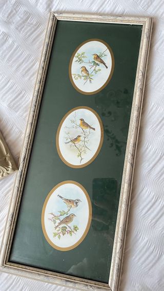 Marcos de fotos decorativos vintage