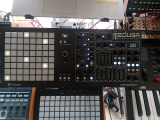 Sintetizador Dreadbox Medusa