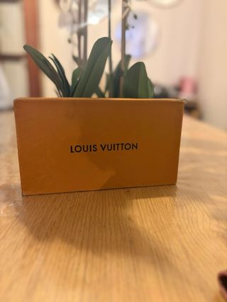 Cartera Louis Vuitton original