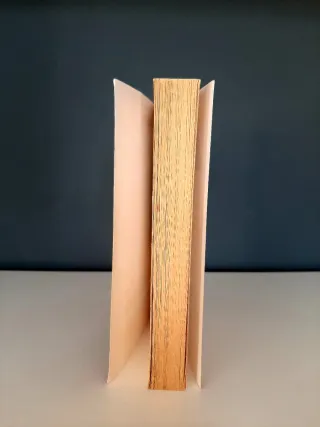 Harry Potter Et La Chambre Des Secrets (French ...