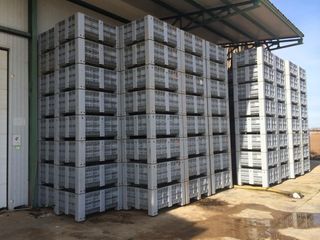 Palots de plástico para fruta