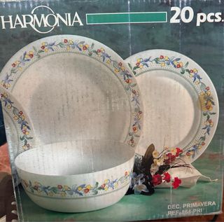 Vajilla 20 Piezas Floral