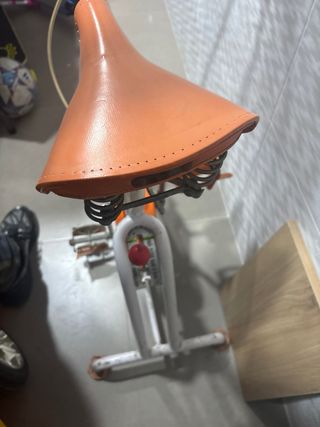 Bicicleta Estática Vintage