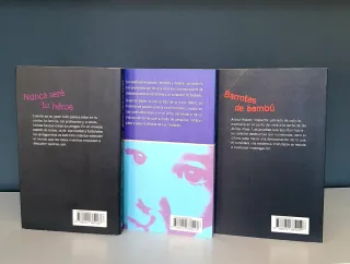 Barrotes de bambu/Querido nadie/Nunca see tu heroe