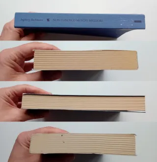 Non conosco mondo migliore di Ingeborg Bachmann