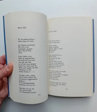 Non conosco mondo migliore di Ingeborg Bachmann