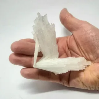 ESCOLECITA Mineral India Colección