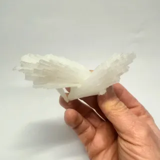 ESCOLECITA Mineral India Colección