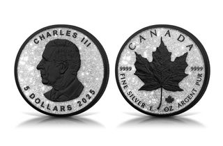 Moneda Plata Canadiense Hoja de Arce 1 oz