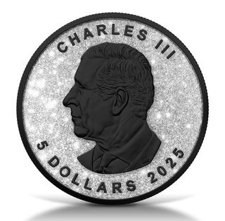 Moneda Plata Canadiense Hoja de Arce 1 oz