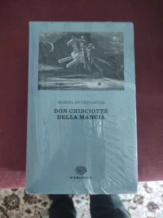 Don Chisciotte (Italian Edition)