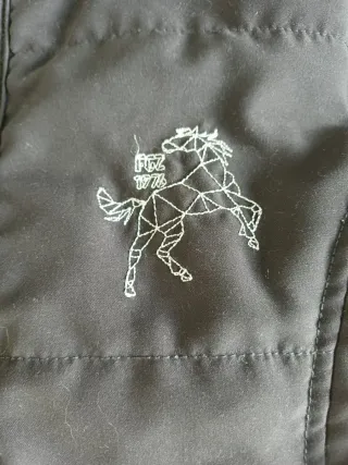 Colete Equitação Fouganza 10 anos