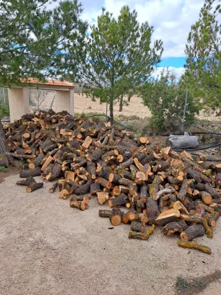Leña de almendro para chimenea