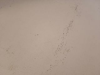 Cómoda blanca de madera a restaurar