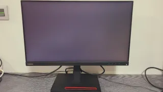 Monitor Lenovo Thinkvision 24 Negro + teclado