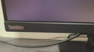 Monitor Lenovo Thinkvision 24 Negro + teclado