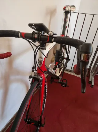 Bici Corsa Carbonio Sintesi Mustang