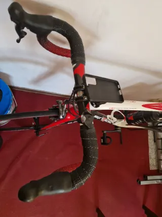 Bici Corsa Carbonio Sintesi Mustang