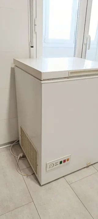 Arcón Congelador REX Blanco RFO13