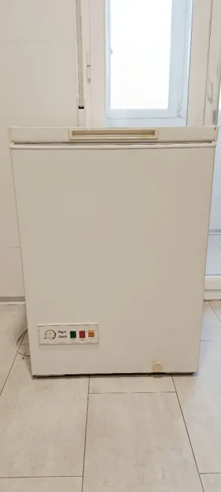 Arcón Congelador REX Blanco RFO13