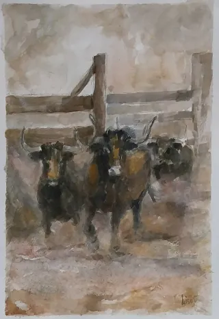 Pintura acuarela toros
