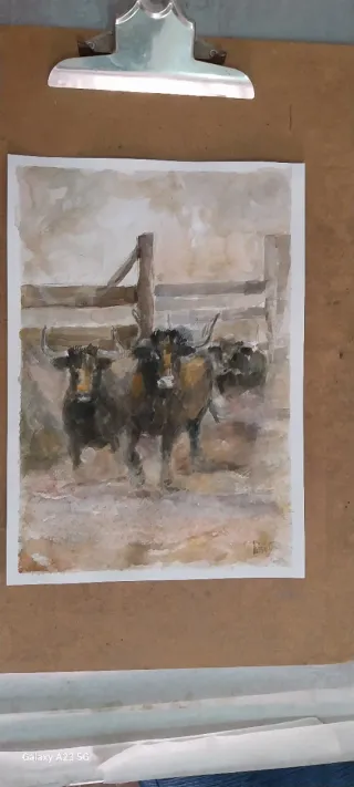 Pintura acuarela toros
