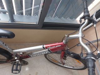 Bicicleta Vermelha e Prata