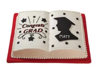 Molde Tarta Libro Wilton