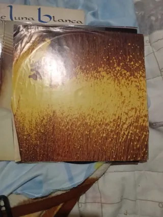 Vinilo Bee Gees - Spirits Having Flown