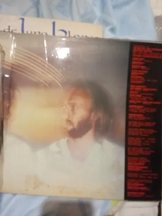 Vinilo Bee Gees - Spirits Having Flown