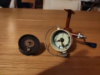 Mulinello Coptes Mosquito Kid