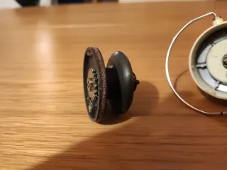 Mulinello Coptes Mosquito Kid